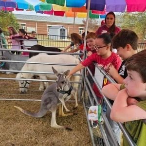 Meet your Posher, Lynette